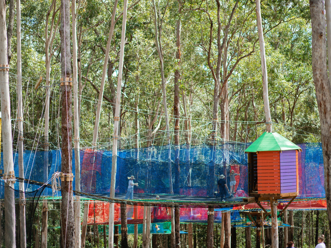 WildNets Adventure Port Macquarie