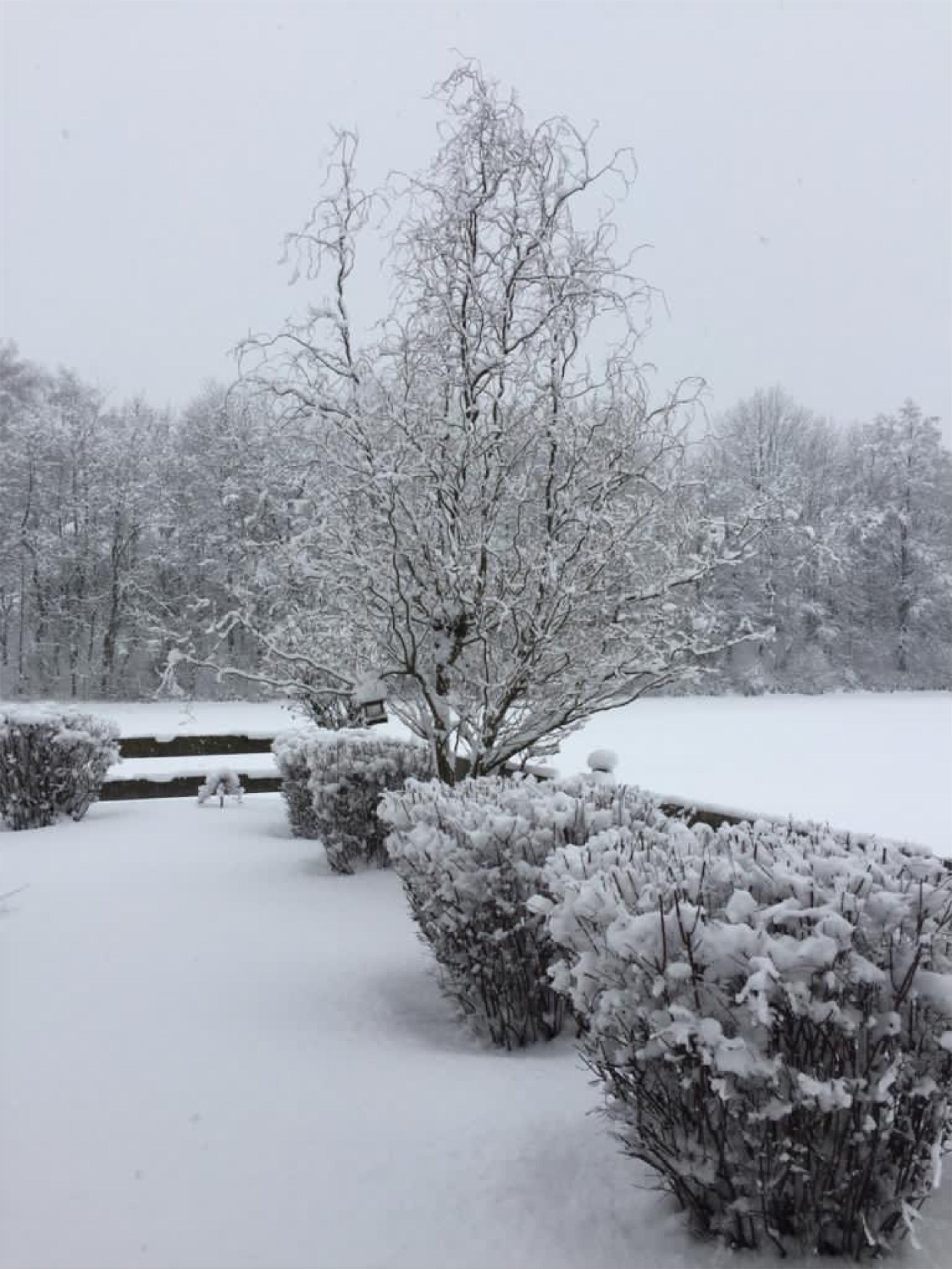 Boutique-Hotel am Essigmanngut-浴室