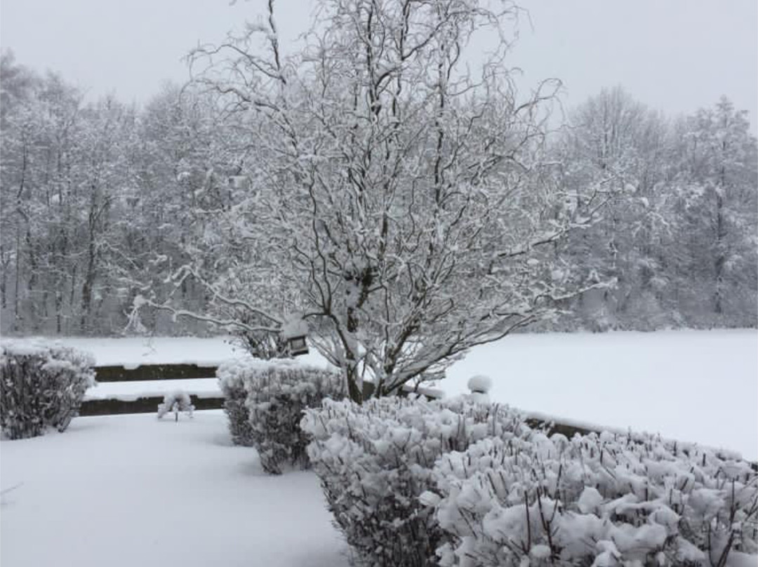 Boutique-Hotel am Essigmanngut主图