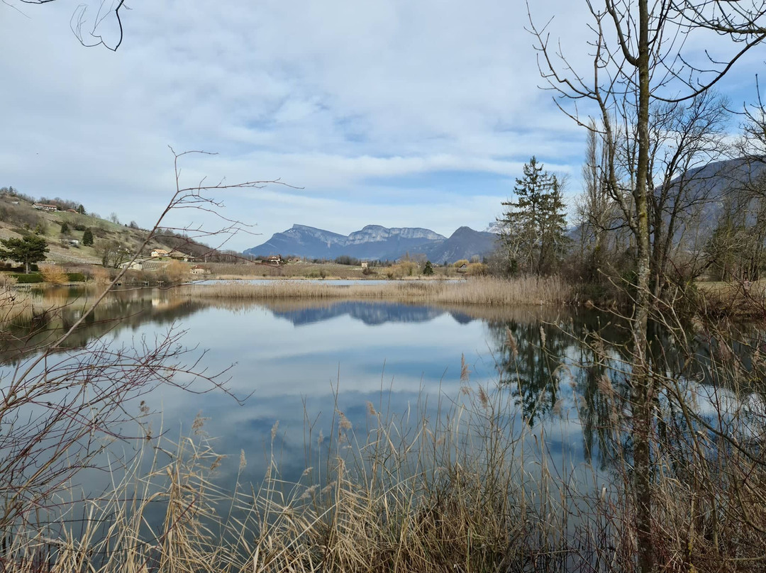 Lac de Saint-André景点图片
