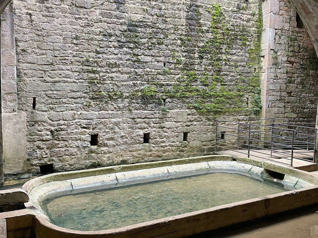 La Fontaine aux Lépreux-多勒必去景点