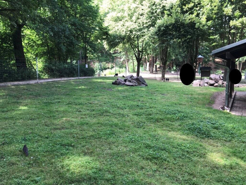 Tiergehege im Sahn Park