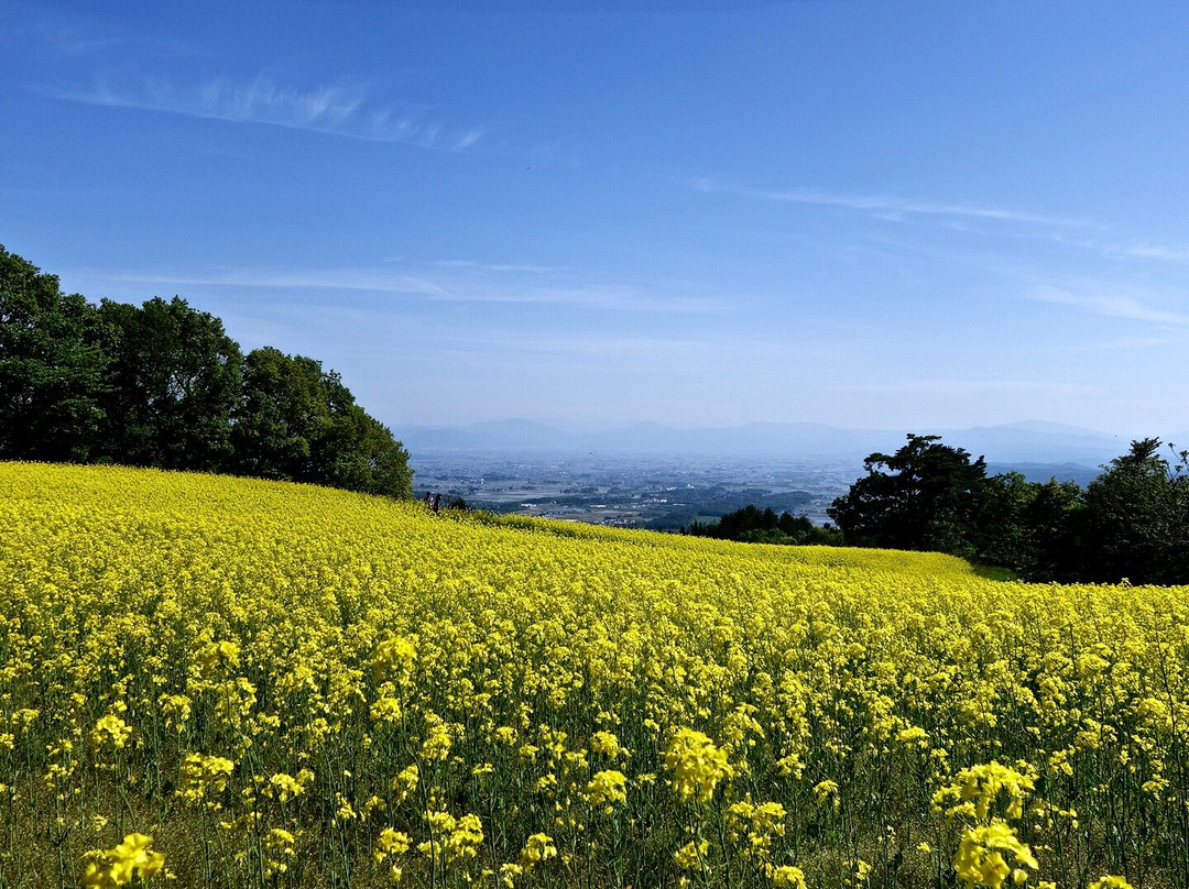 San no Kura Kogen Hanabatake-喜多方市必去景点