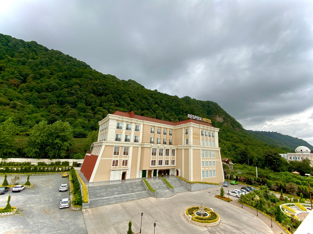 Respina Hotel主图
