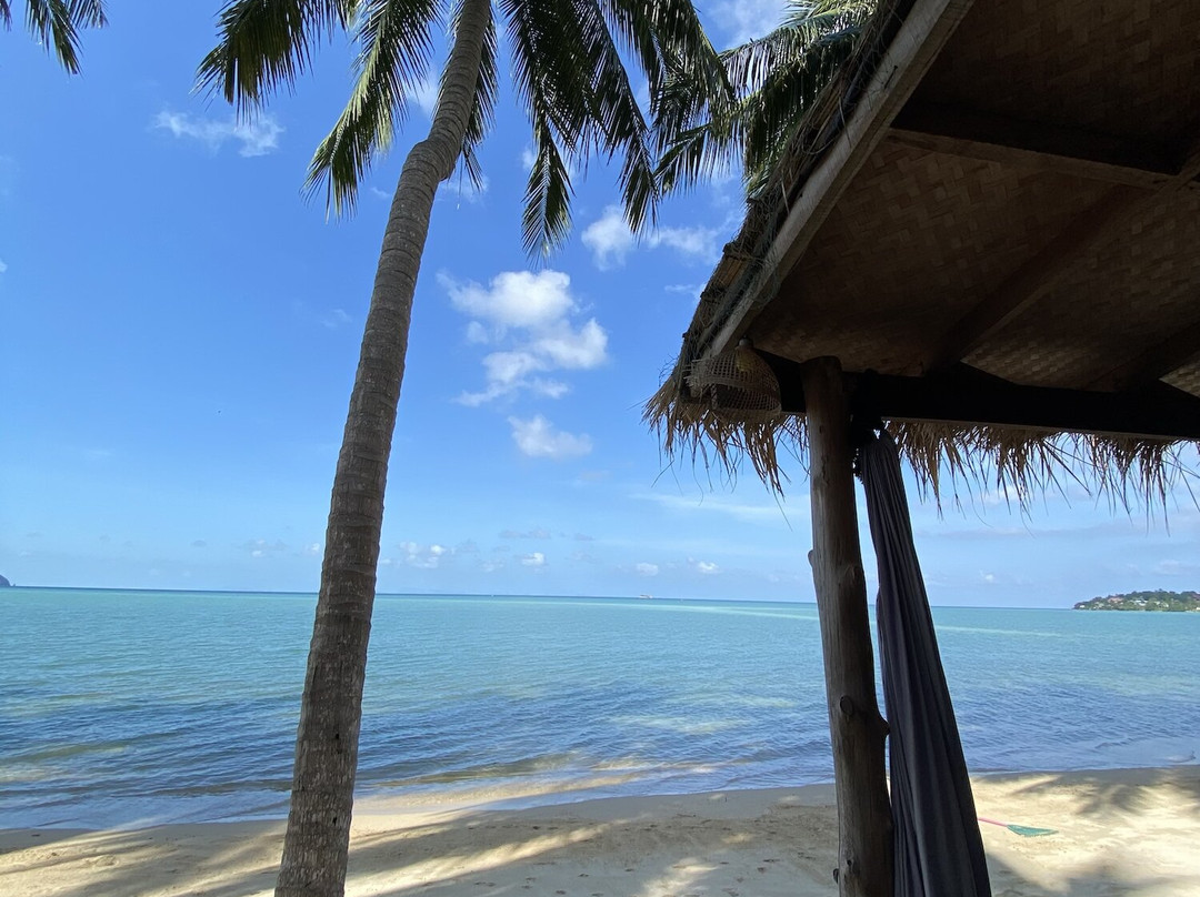 Castaway Beach Bungalows主图