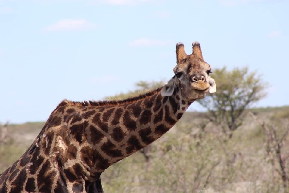 Embrace African Tours-开普敦中心区必去景点