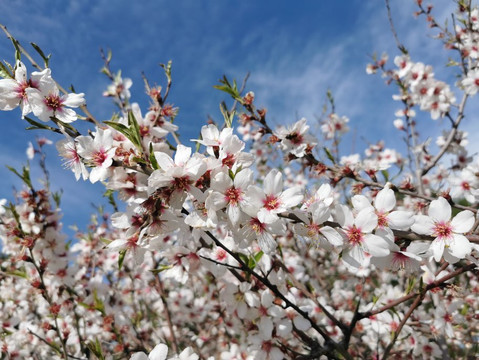 Casa Patata-Galapagar必去景点