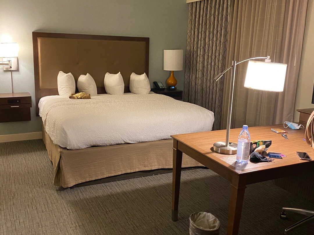 Hampton Inn & Suites Braselton主图