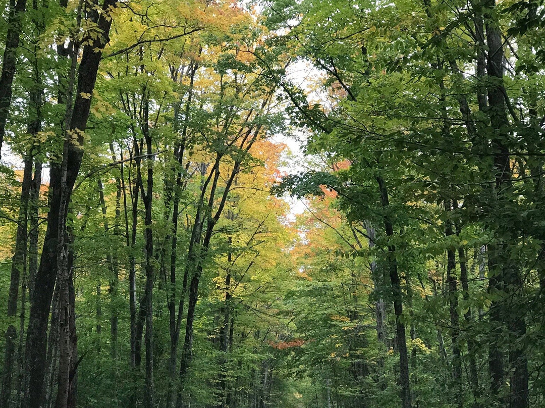 Laughing Whitefish Falls-缪尼辛必去景点