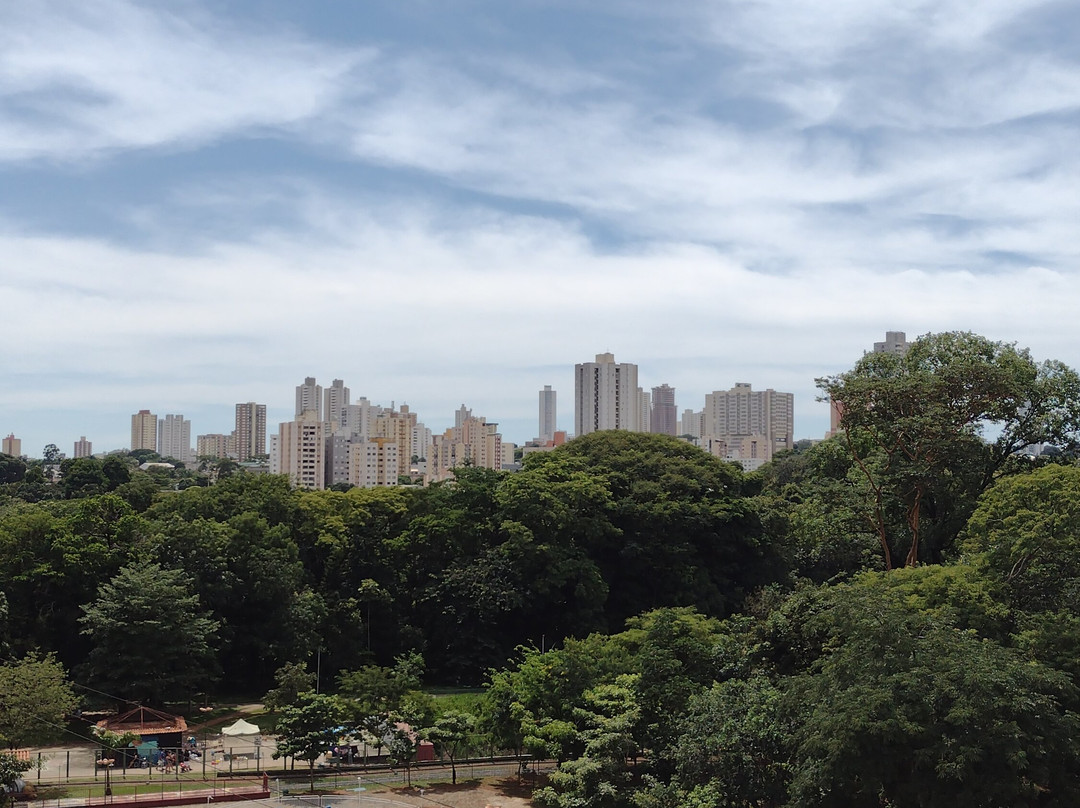 Mutirama Park-戈亚尼亚必去景点