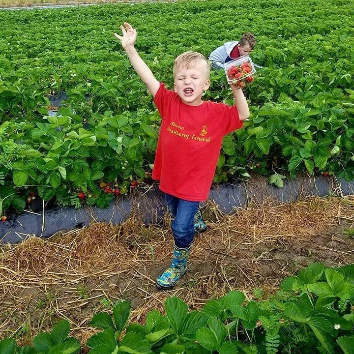 Sunset Berry Farm-Alderson必去景点