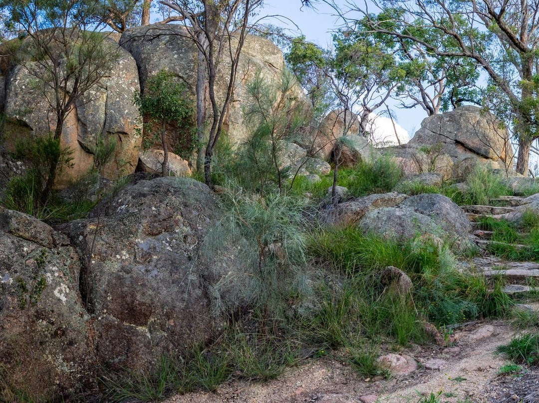 Granite Belt Motel主图