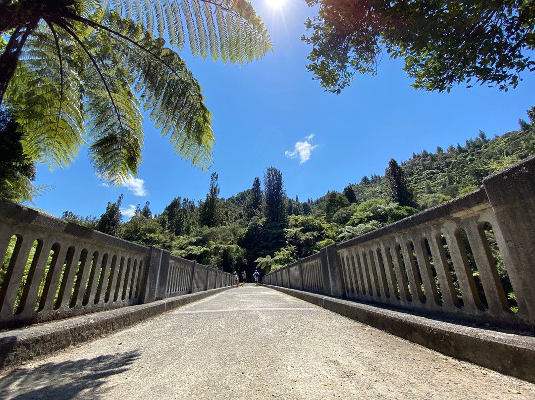 Whanganui National Park景点图片