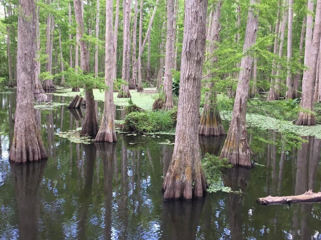 Townsend & Sons Everglades Outfitters-LaBelle必去景点