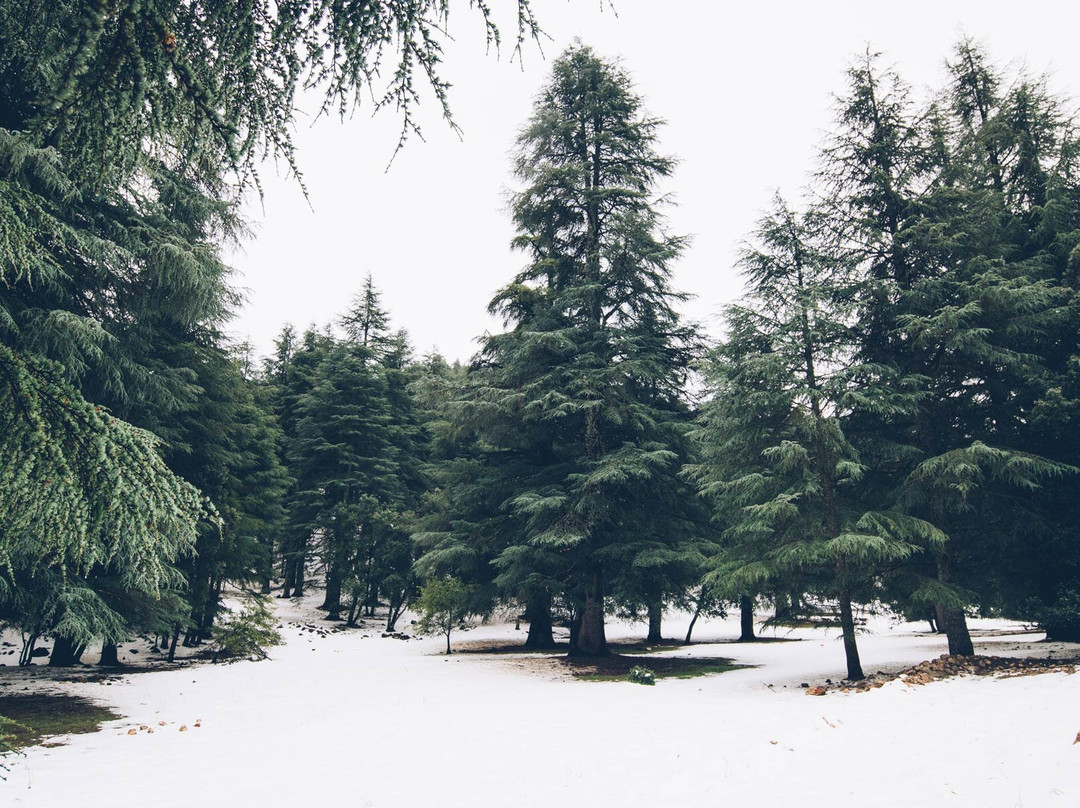 CHRIF TRANS & TRAVEL-非斯必去景点