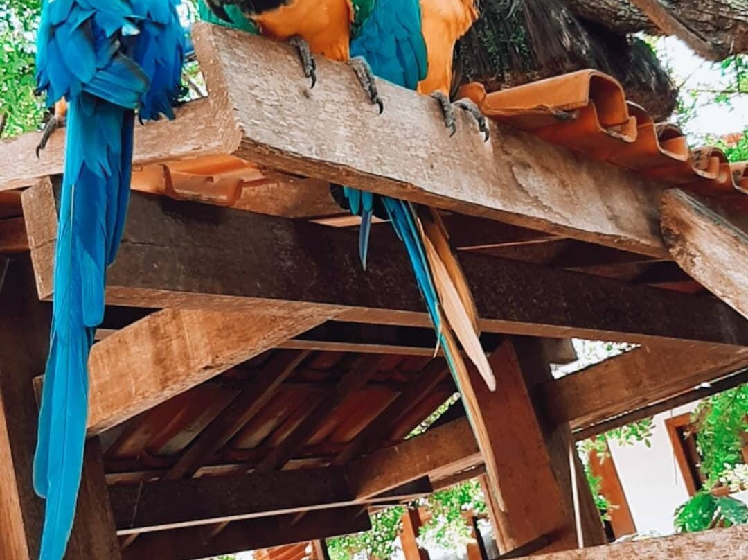 Hotel La Dolce Vita主图