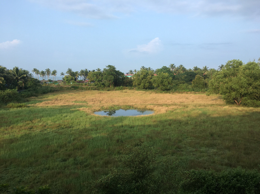 Salcete Beach Resort主图