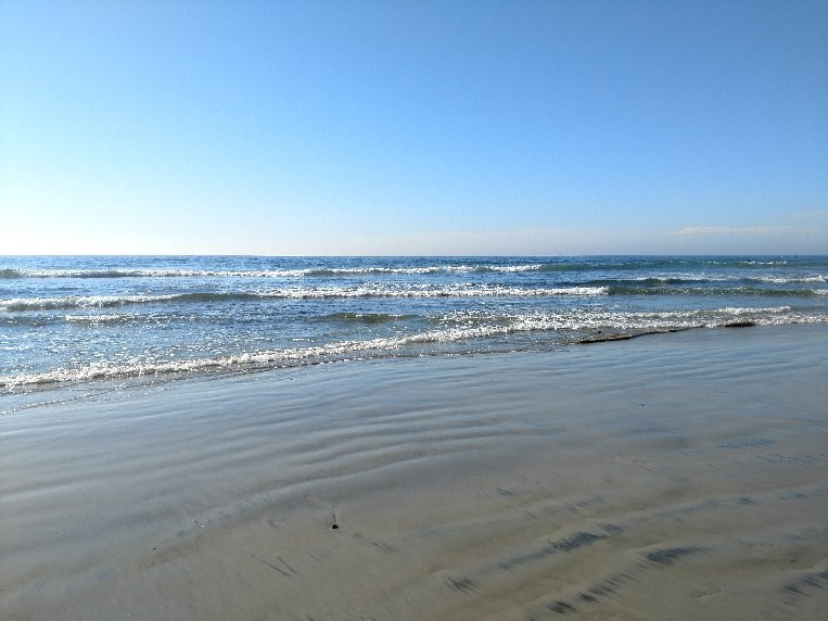 Moonlight State Beach-恩西尼塔斯必去景点