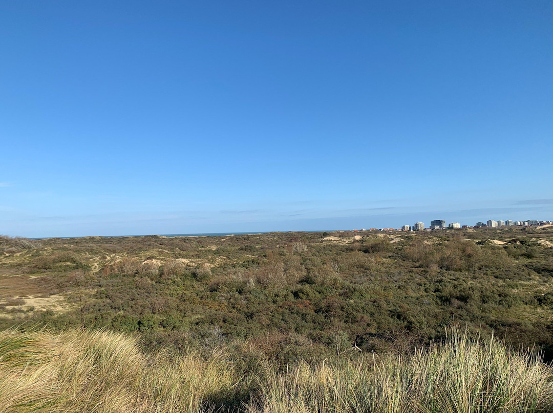 Nature Reserve of Westhoek-德潘尼必去景点
