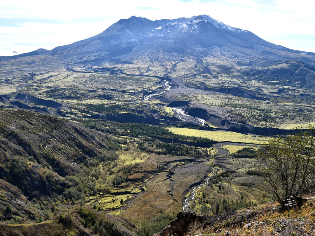 Johnston Ridge Observatory-图特尔必去景点