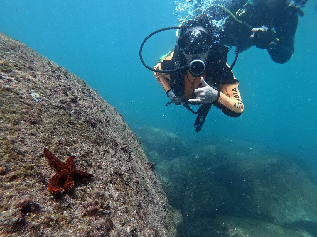 Acquanauta Floripa-弗洛里亚诺波利斯必去景点