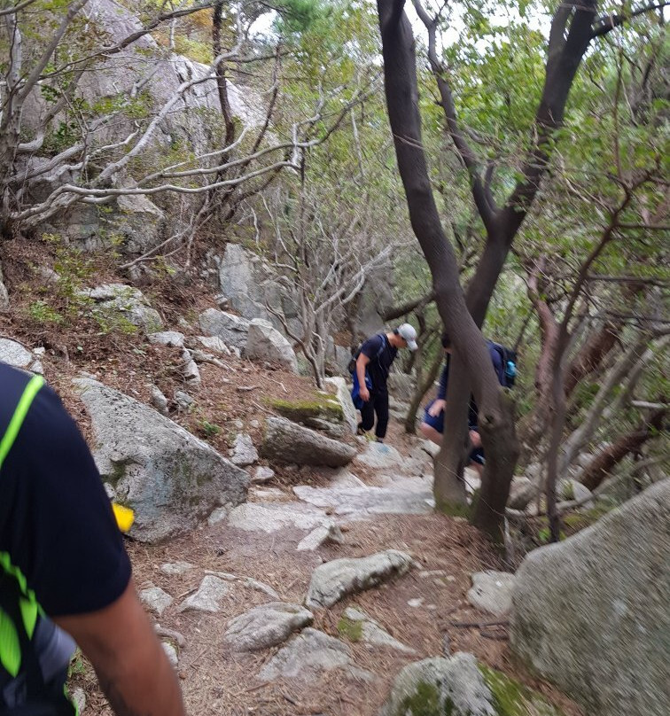 Mangsan Mountain-巨济市必去景点