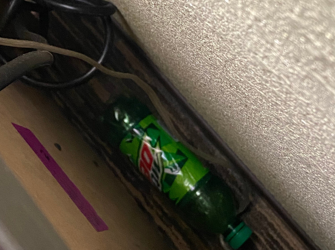 Dover酒店住宿-Candlewood Suites Fort Campbell - Oak Grove by IHG