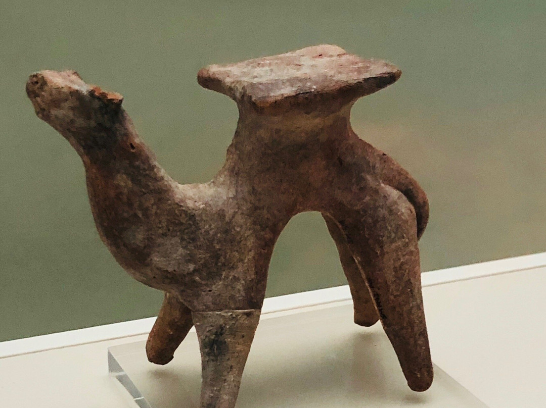 Sharjah Archaeology Museum-沙迦必去景点