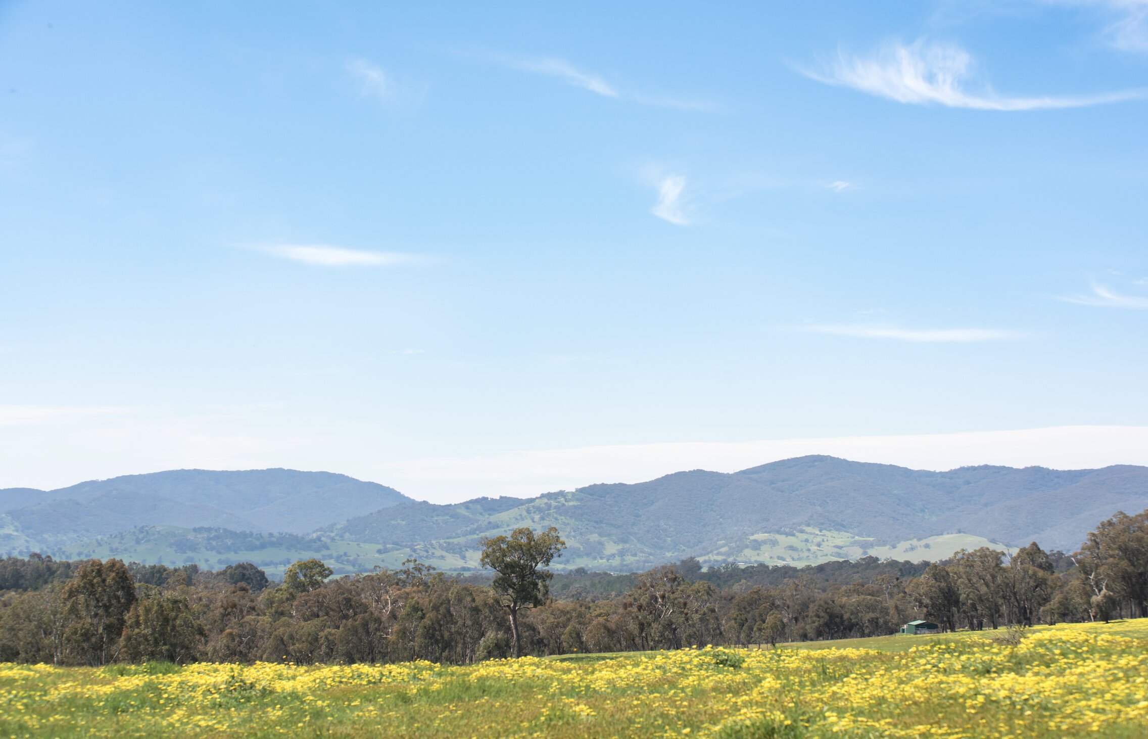 Motel Views Yackandandah-官方