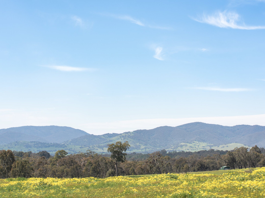 Motel Views Yackandandah主图