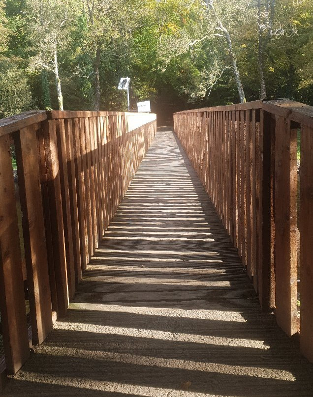 Killykeen Forest Park-County Cavan必去景点