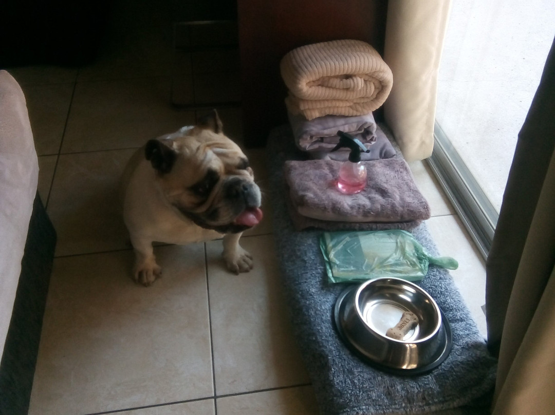 Jadran Motel & El Jay Holiday Lodge主图