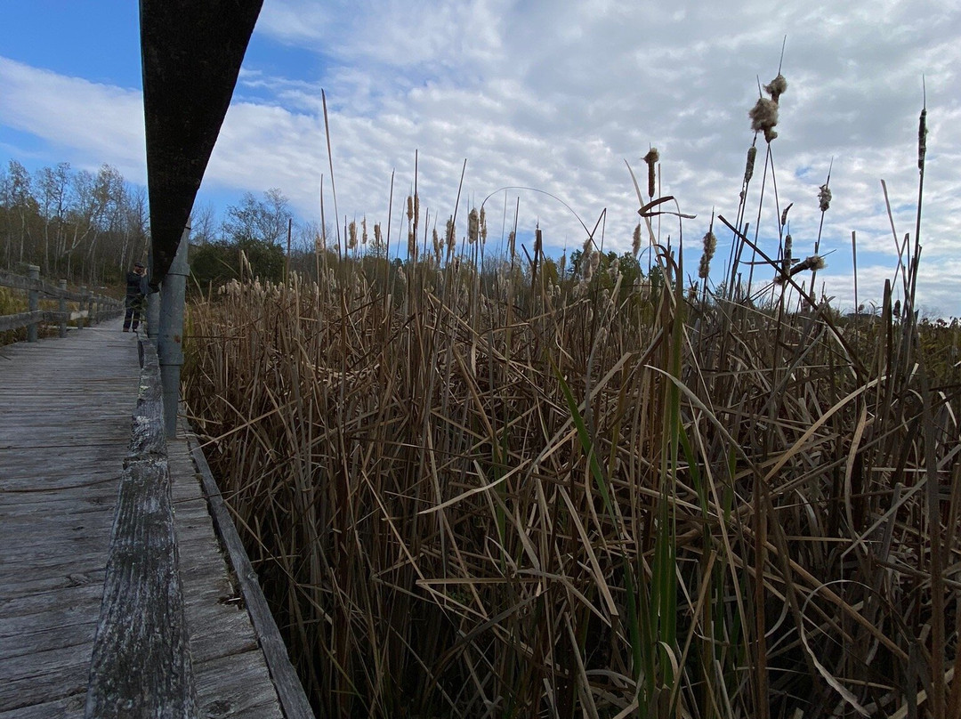 West Rutland Marsh景点图片