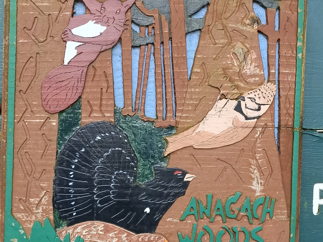 Anagach Woods-Grantown-on-Spey必去景点