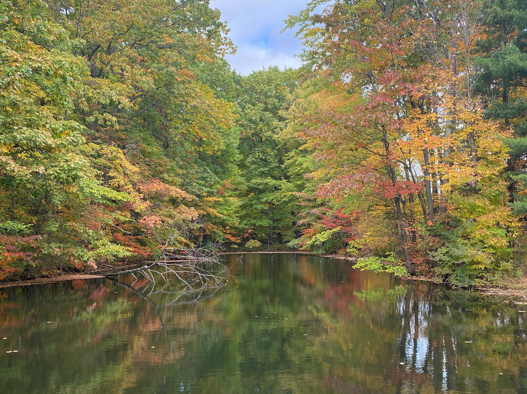 Swine Creek Reservation-Middlefield必去景点