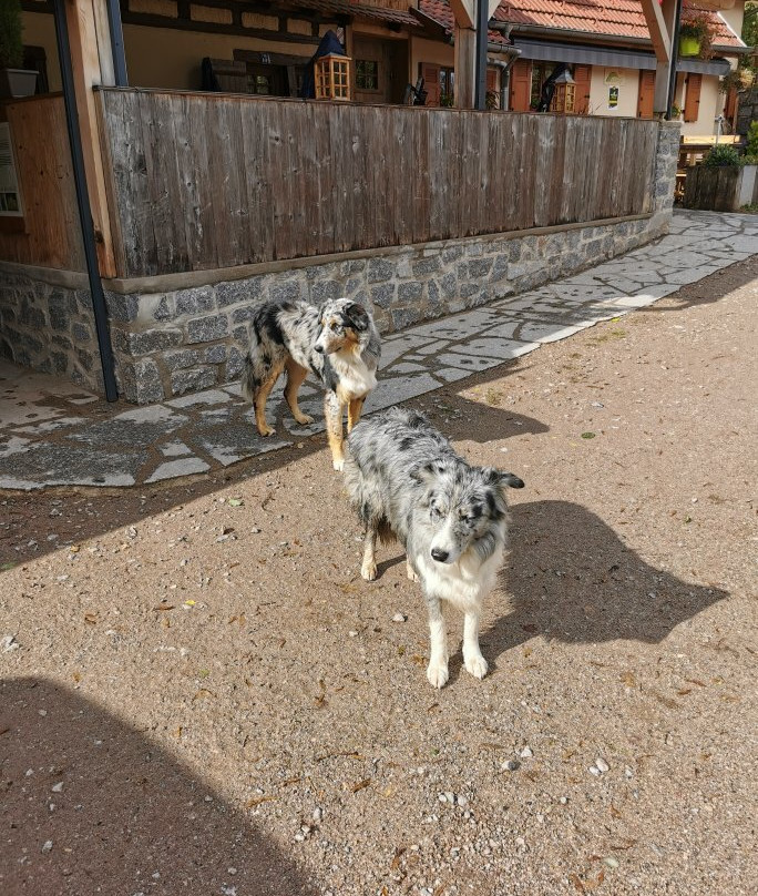 Wasserbourg旅游攻略图片