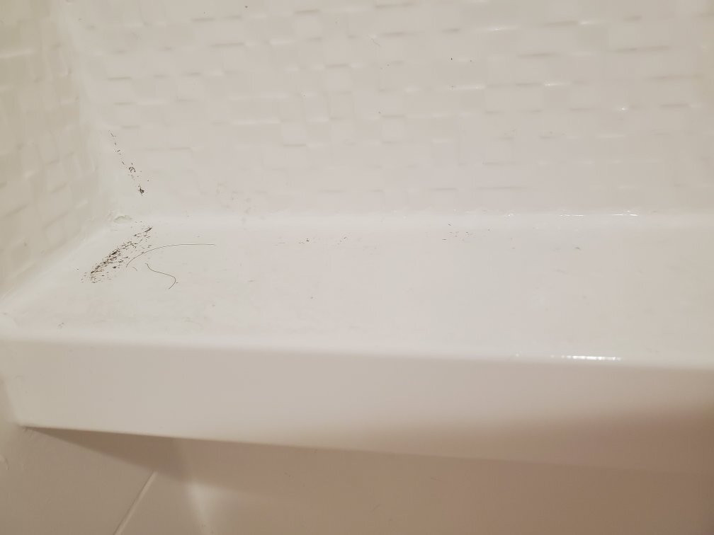 Fairfield by Marriott Inn & Suites St. Joseph Stevensville主图