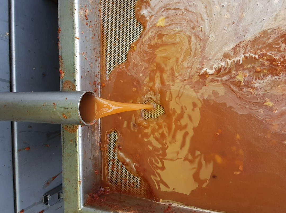 Meshchovsk旅游攻略图片