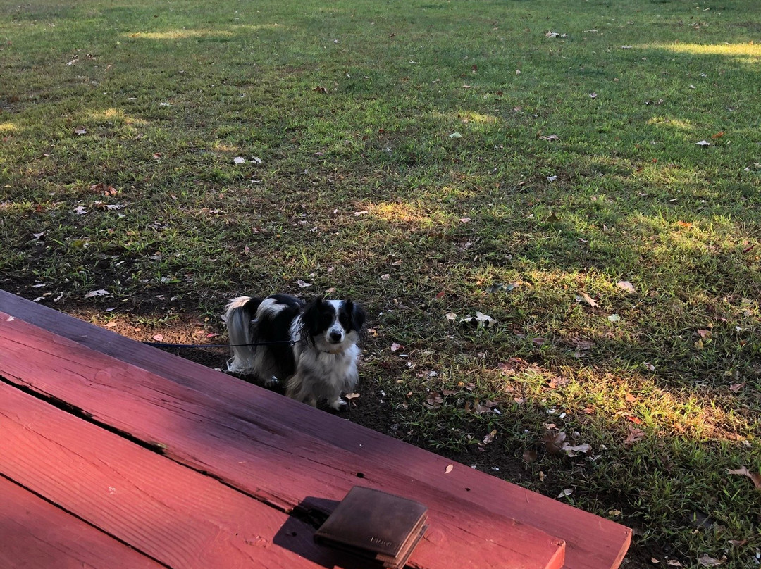 Red Roof Inn Clifton Park主图