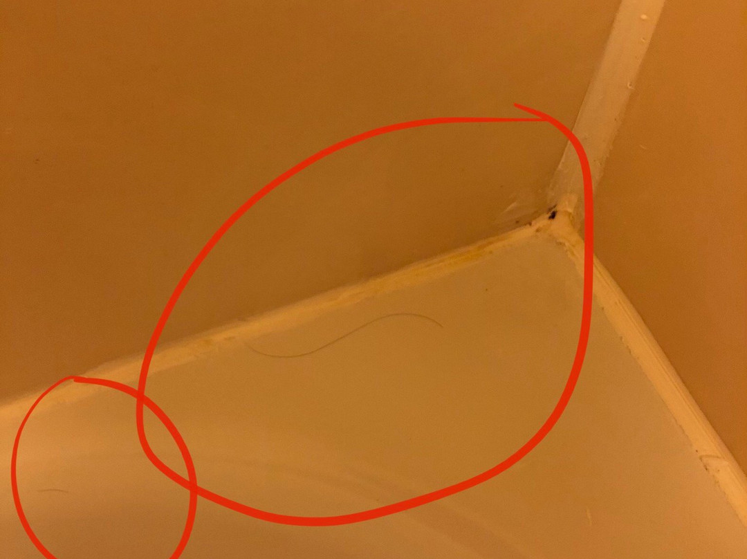 Residence Inn by Marriott Cedar Rapids主图