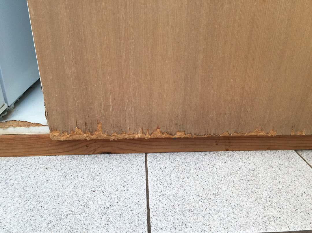 鹦鹉螺海滨Spa公寓主图