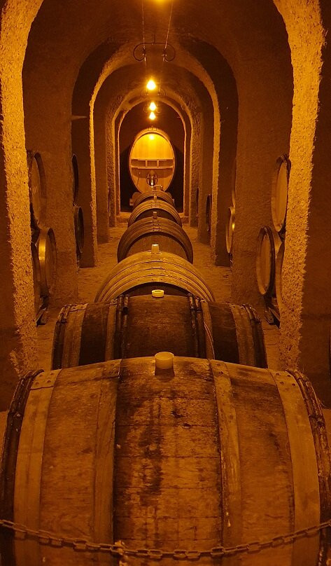 La Cave Aux Coquillages-Fleury-la-Riviere必去景点
