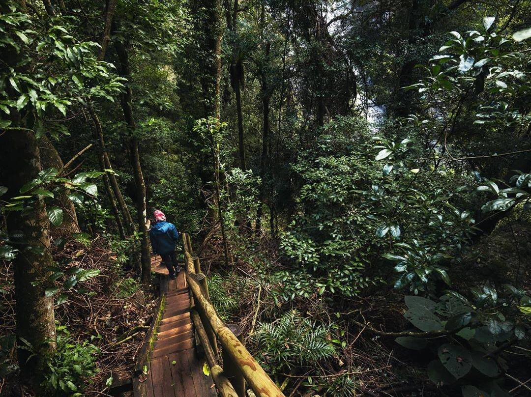 Ellenborough Falls-Elands必去景点