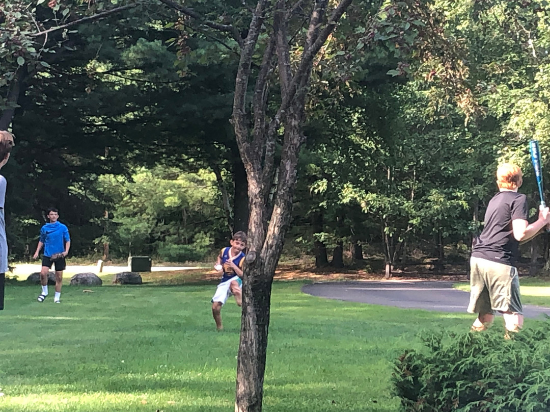 Wild Eagle Lodge主图