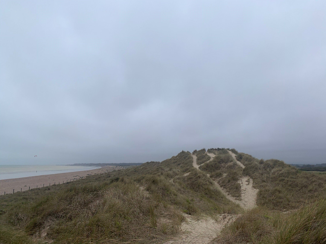 West Beach Local Nature Reserve景点图片