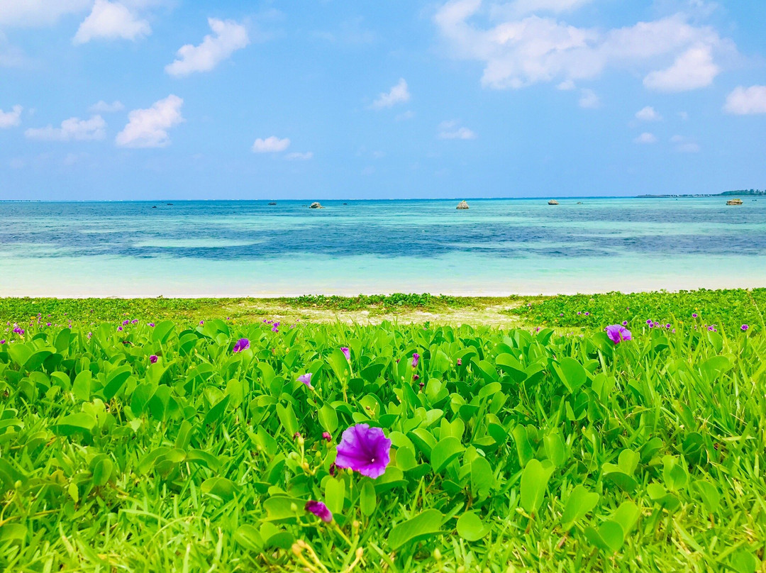 Sawada no hama Beach景点图片