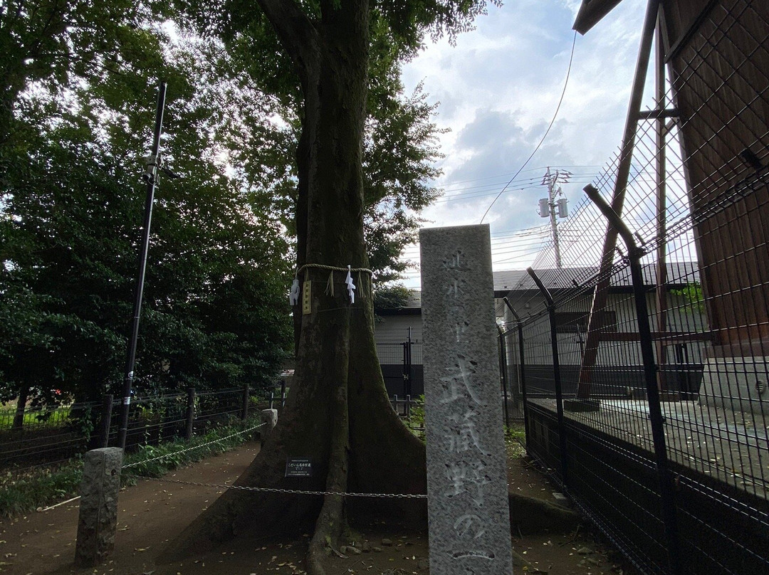 Kumanogu-小平市必去景点