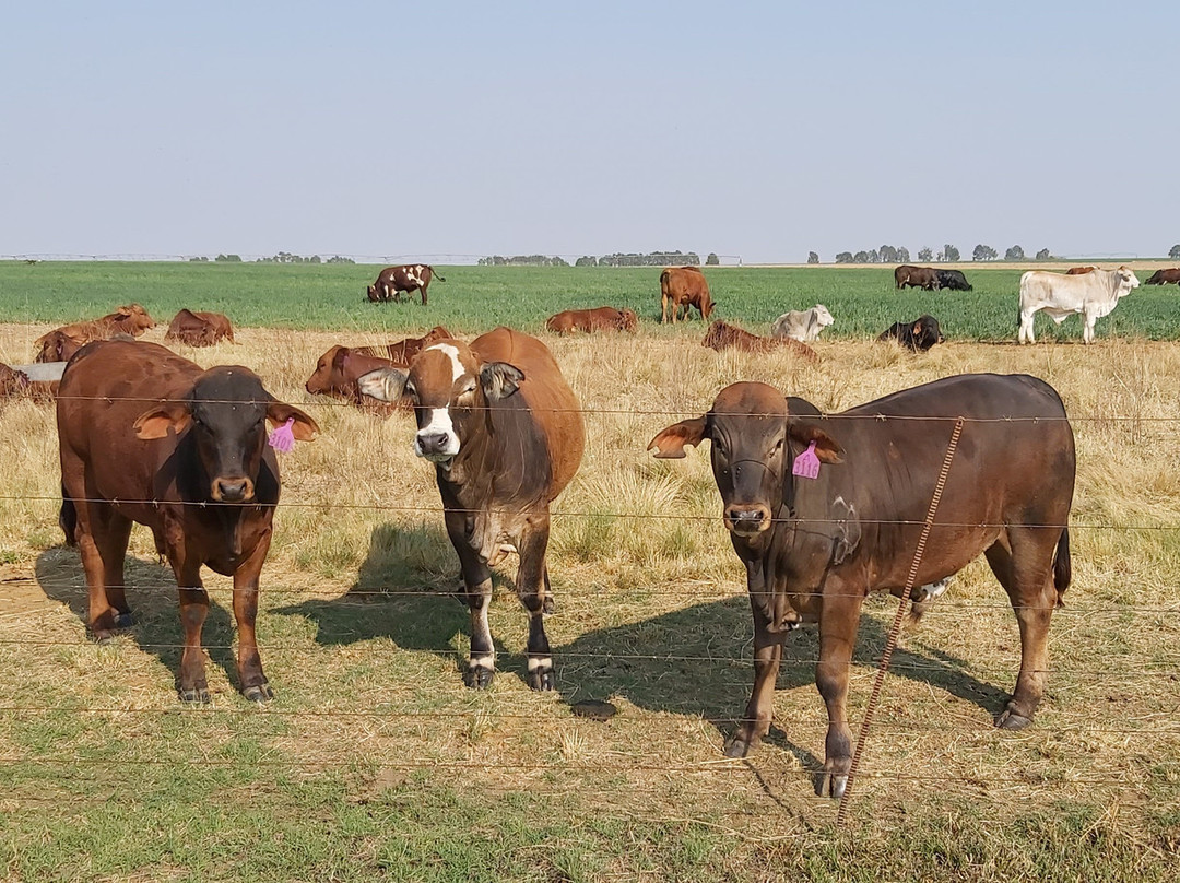 Dalmore Farm Guest House主图