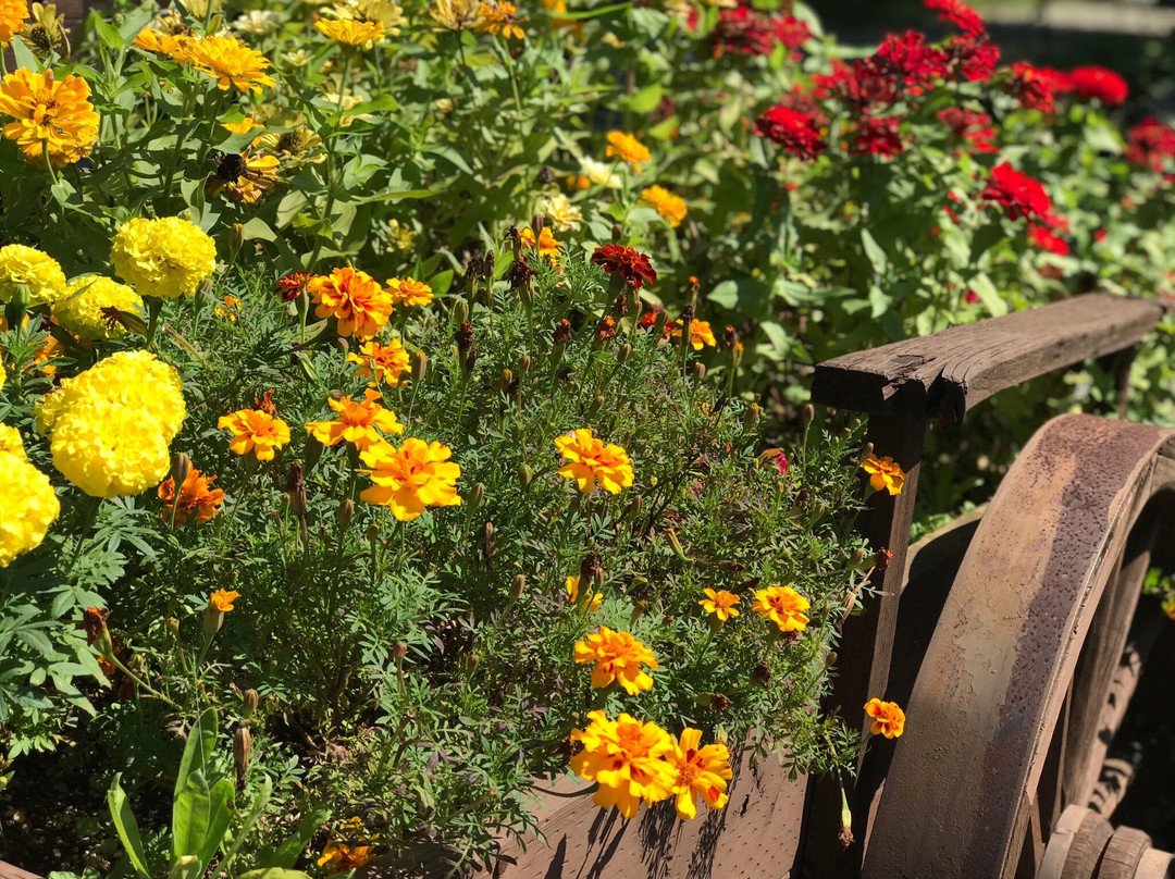 Yeonginsan-牙山市必去景点