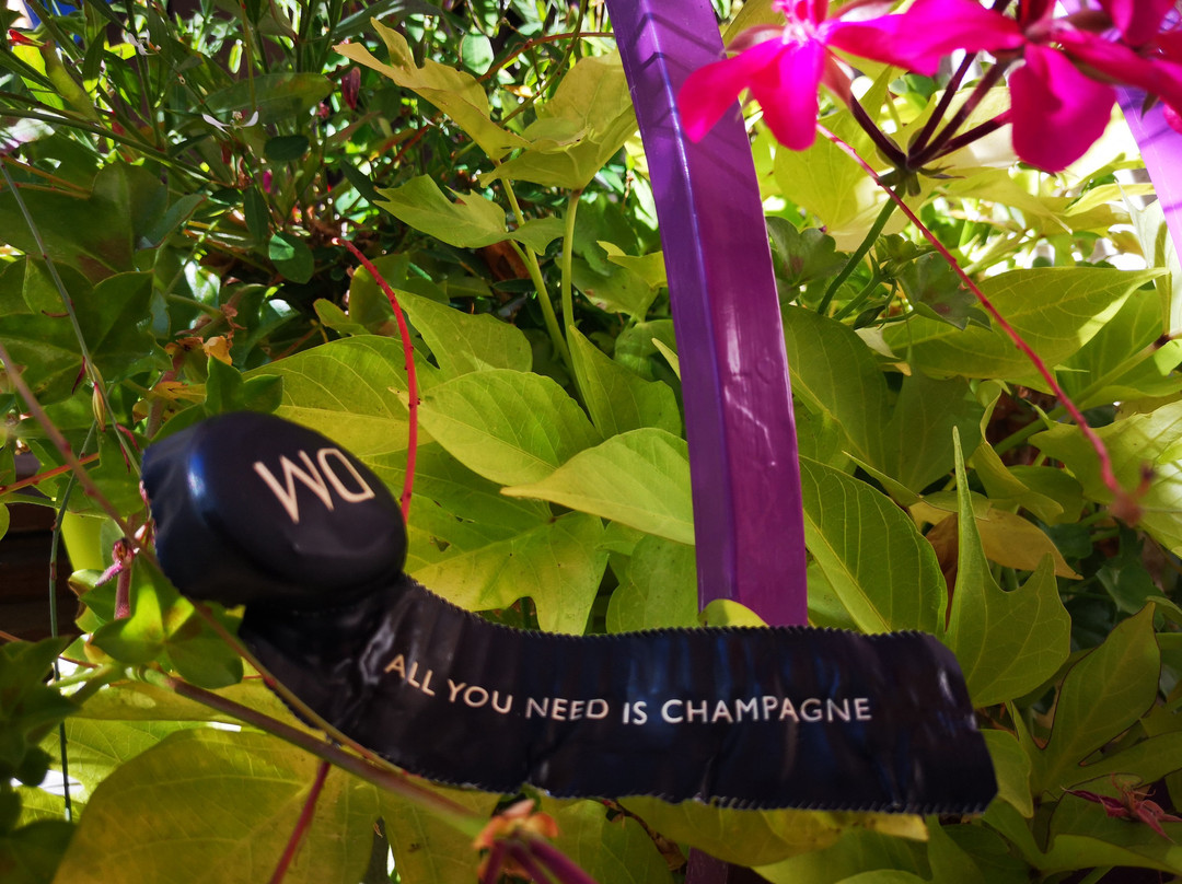 Champagne Doyard Mahe景点图片